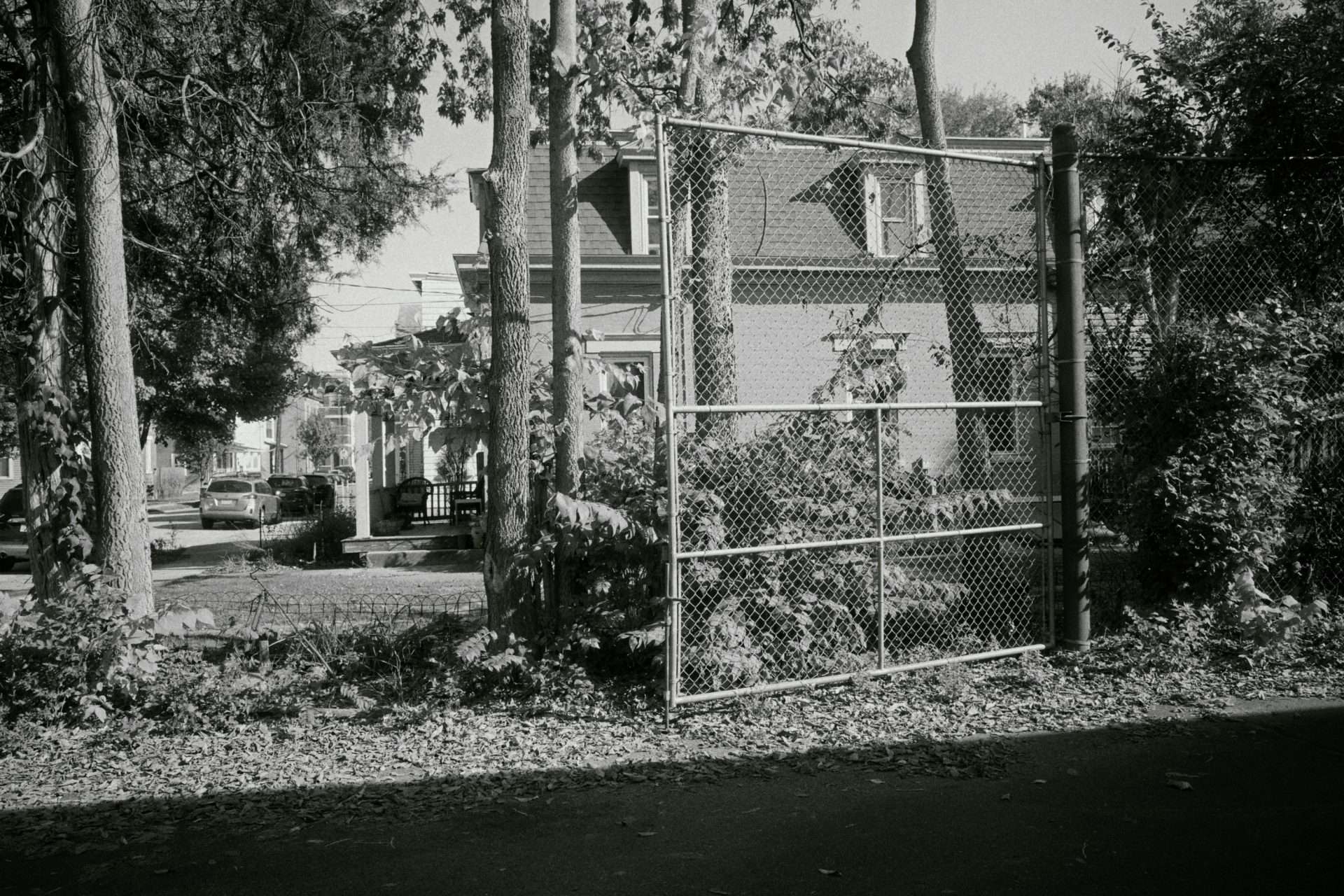 Ricoh GRii with Ilford HP5 Emulation